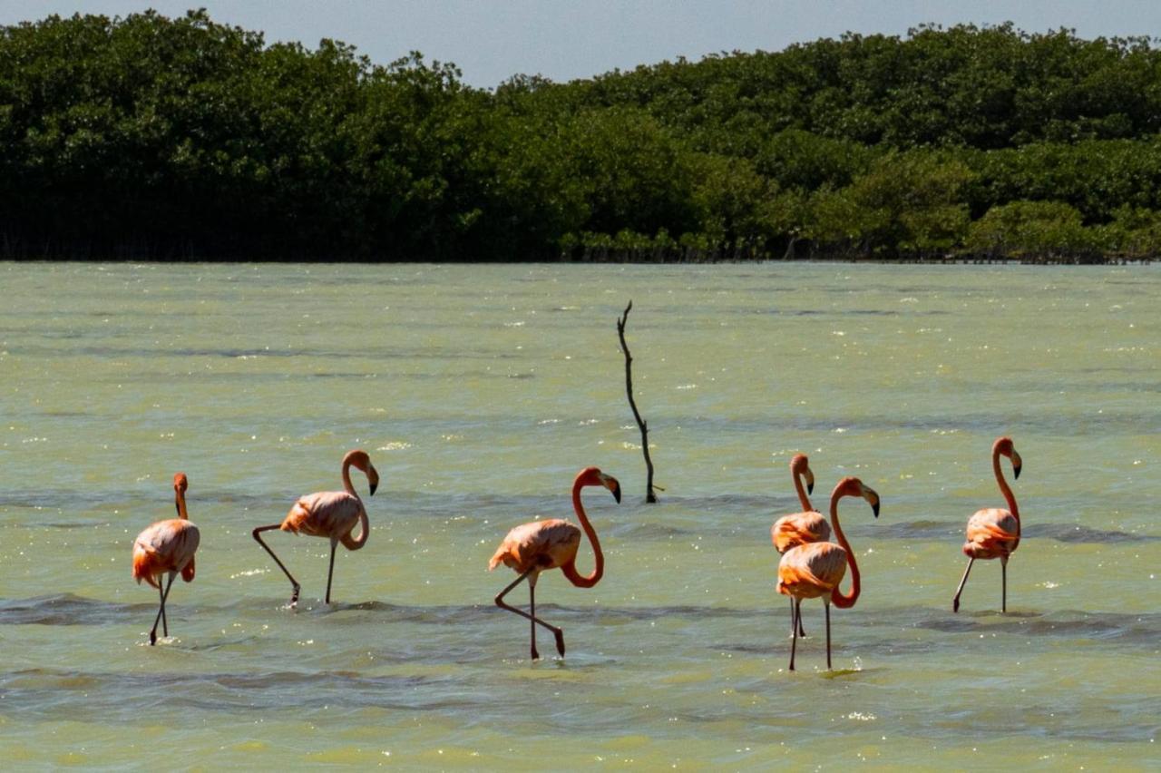 El Aplatanao Hotel Pedernales Eksteriør billede